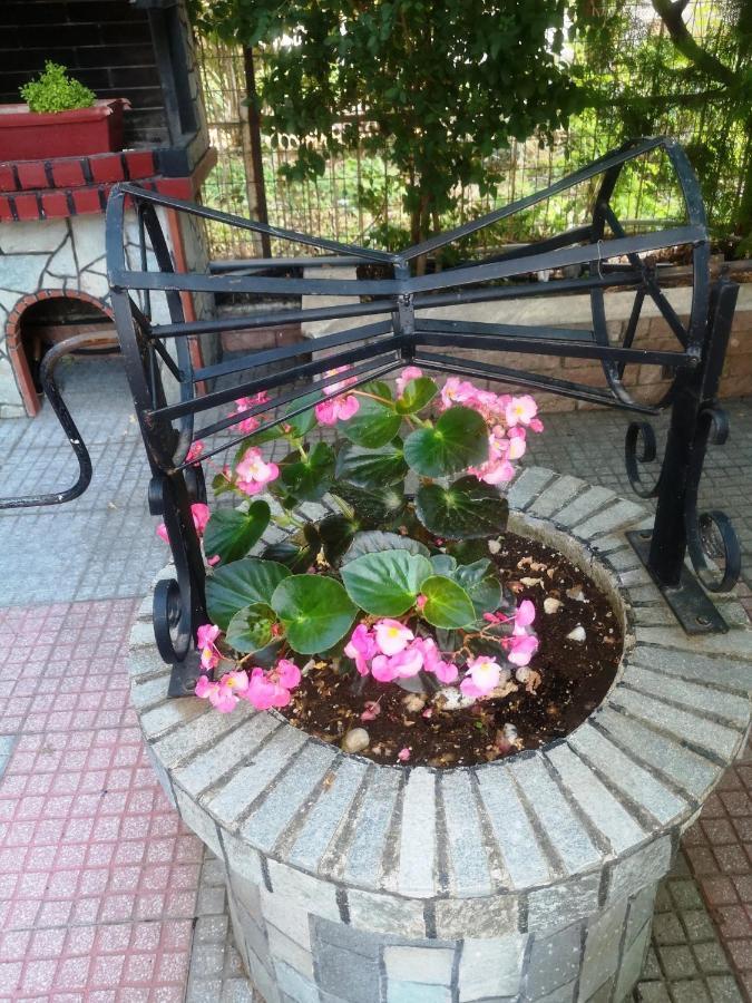 Blue Garden Rooms Paralia Katerinis Ngoại thất bức ảnh