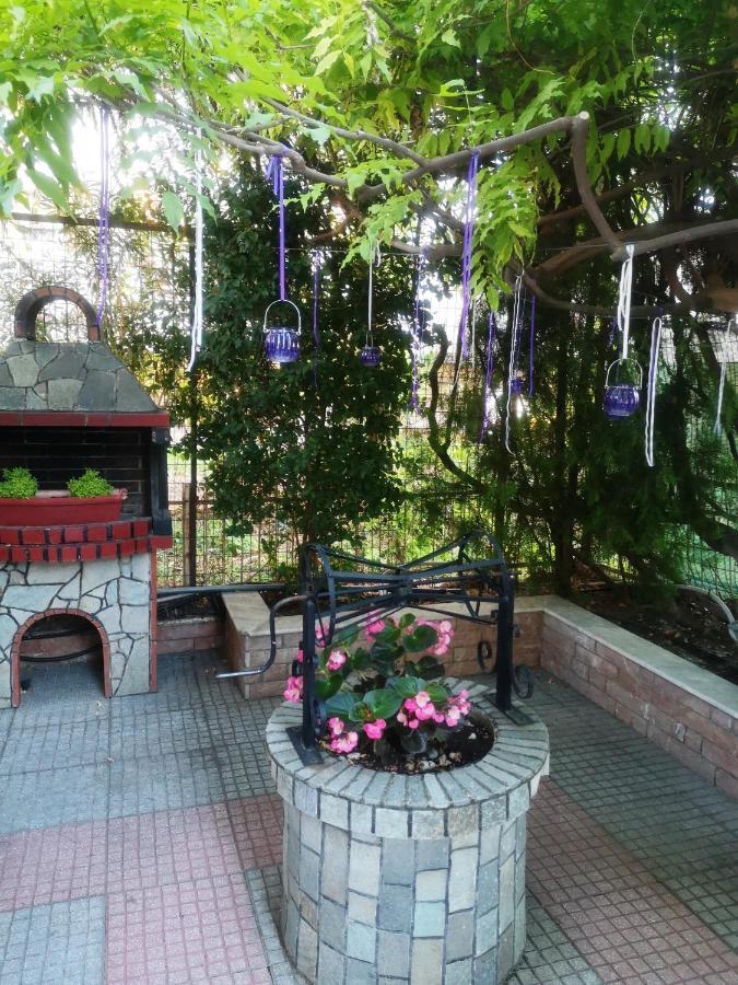 Blue Garden Rooms Paralia Katerinis Ngoại thất bức ảnh